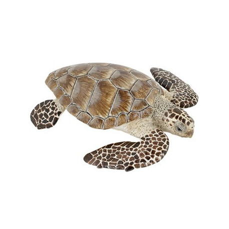 tortue de mer très réaliste tortue de mer très réaliste