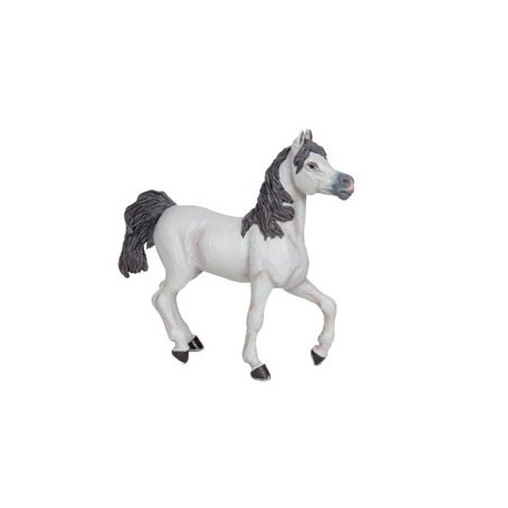 cheval arabe blanc cheval arabe blanc